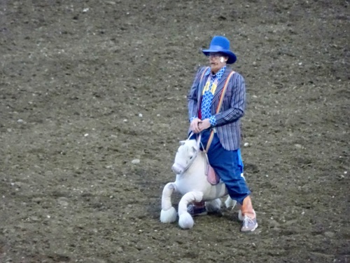 Rodeo Clown